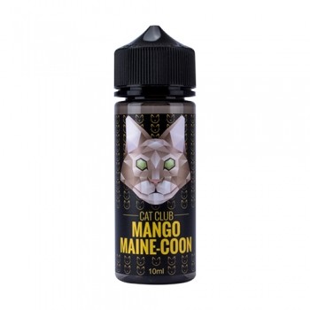 Cat Club - Mango Maine-Coon